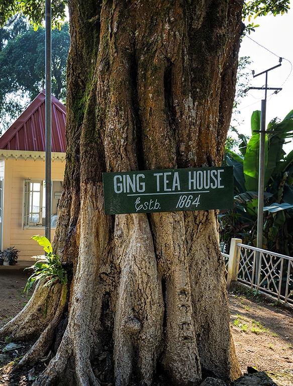 Ging Tea House Pensionat Darjeeling  Eksteriør billede