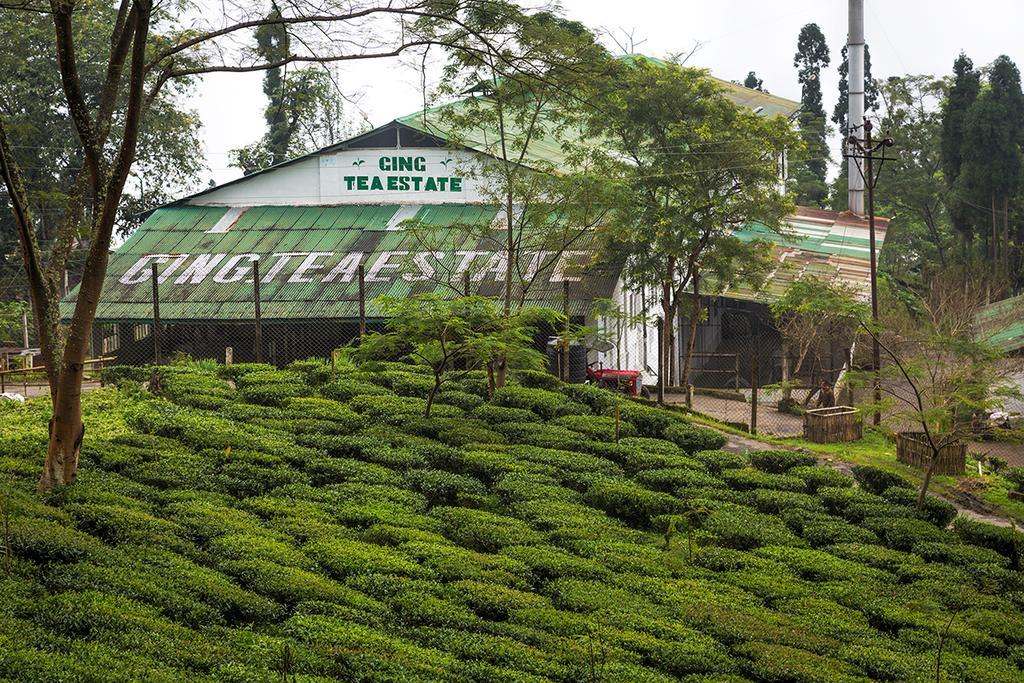 Ging Tea House Pensionat Darjeeling  Eksteriør billede